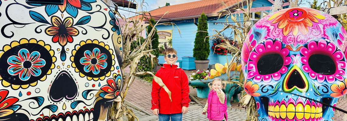ŠĖLKIME SU DINOZAURAIS – DINO BOO